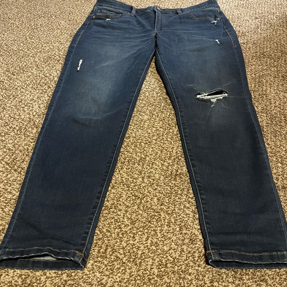 Lularoe Blue Jeans Denim 34